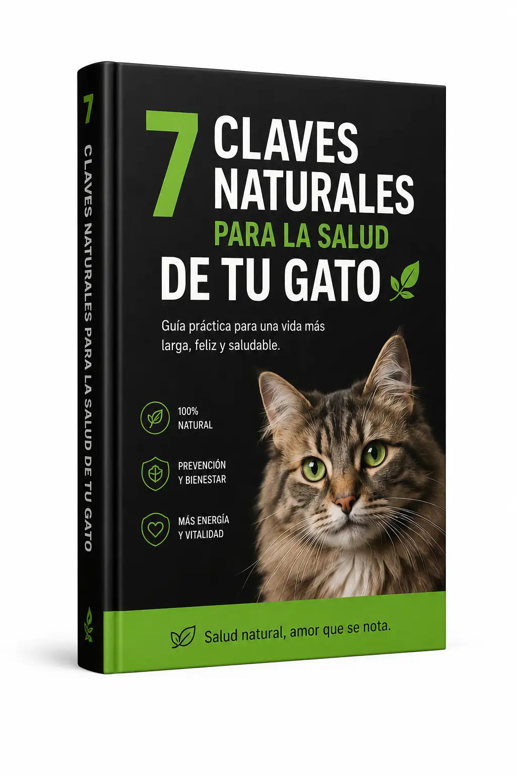 7 Claves Naturales para la Salud de tu Gato