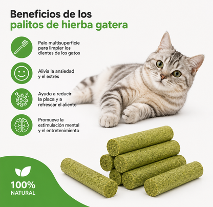 Meowfurr™ Pack de Sticks Dentales de Hierba