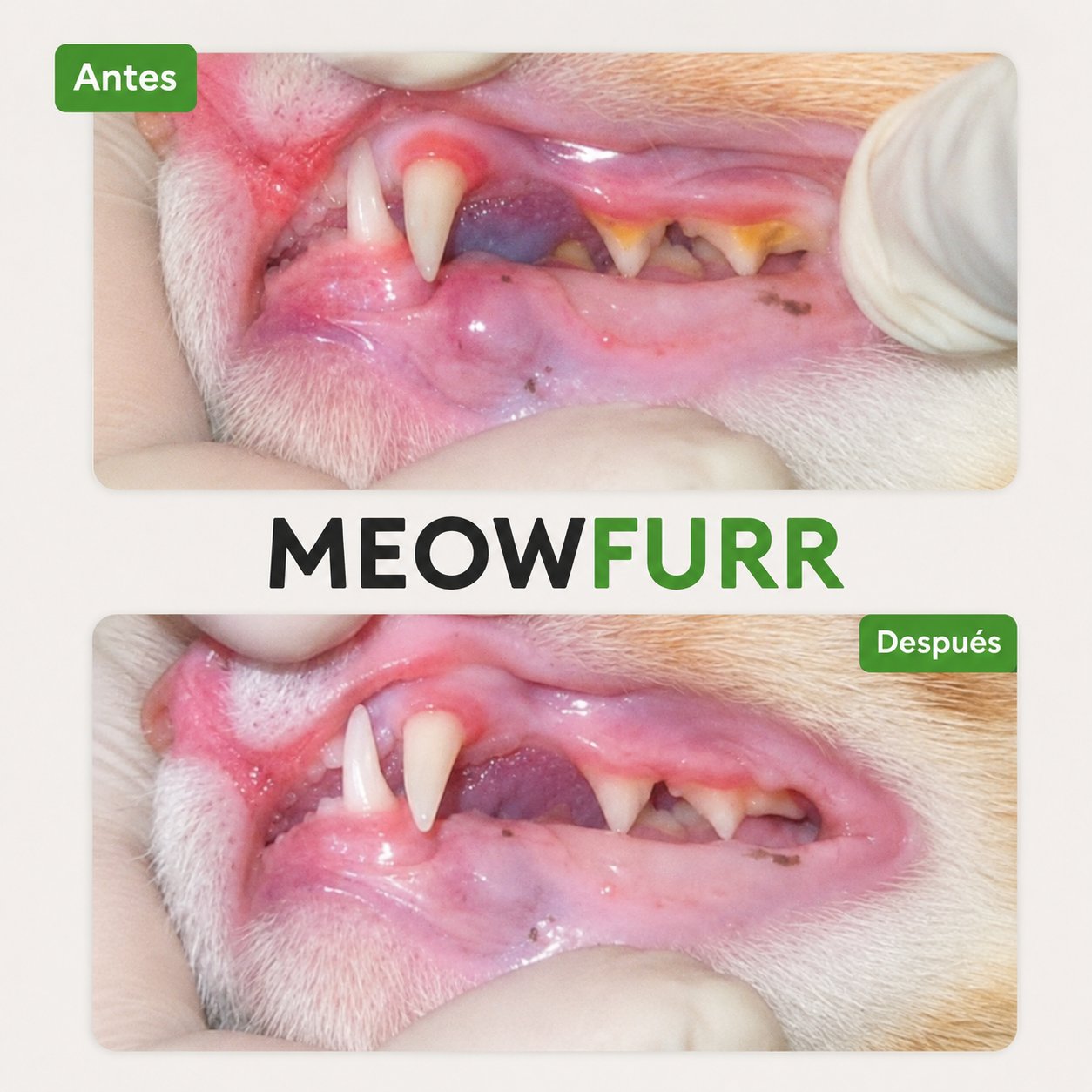 Meowfurr™ Pack de Sticks Dentales de Hierba