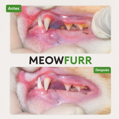 Meowfurr™ Pack de Sticks Dentales de Hierba