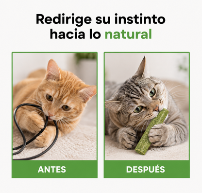 Meowfurr™ Pack de Sticks Dentales de Hierba