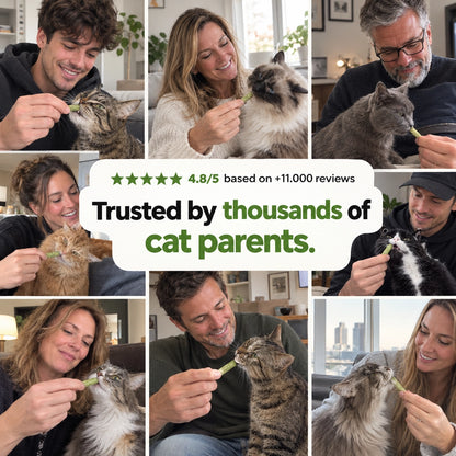 Meowfurr™ Dental & Digestive Sticks for Cats