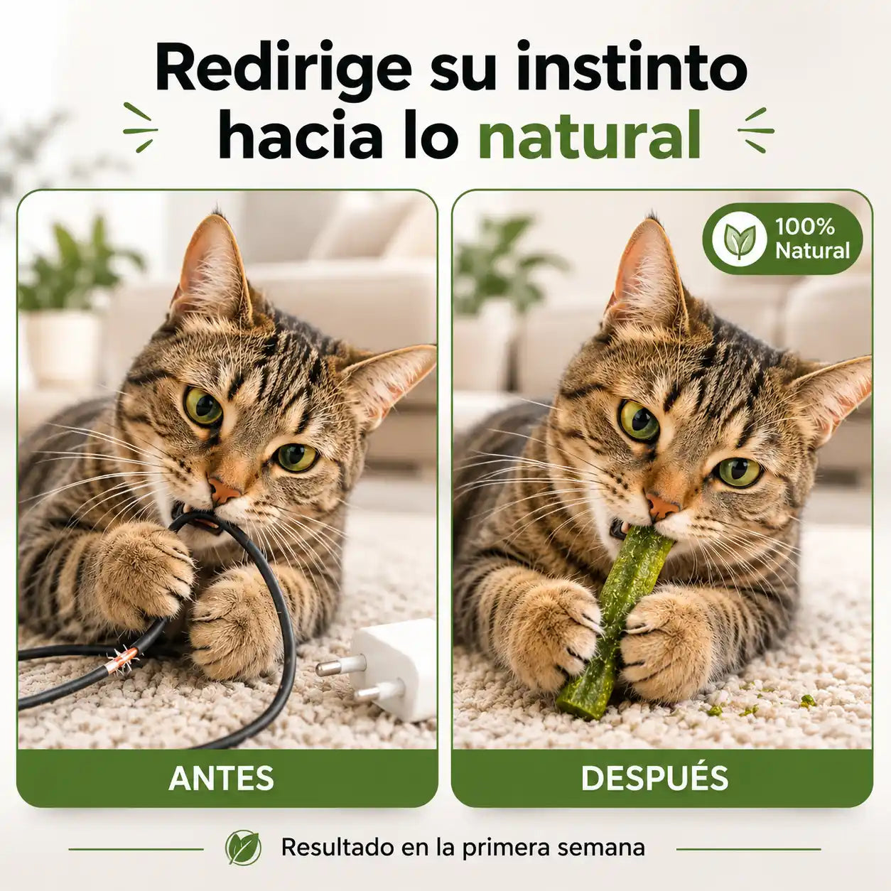 Meowfurr™ Sticks Dentales & Digestivos para Gatos