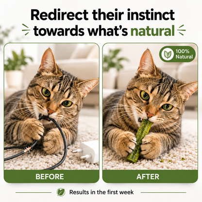 Meowfurr™ Dental & Digestive Sticks for Cats