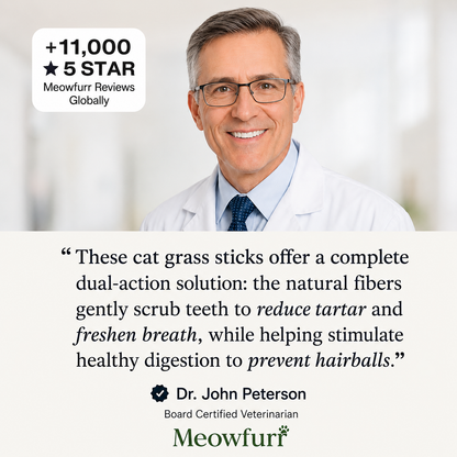Meowfurr™ Dental & Digestive Sticks for Cats
